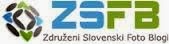 ZSFB
