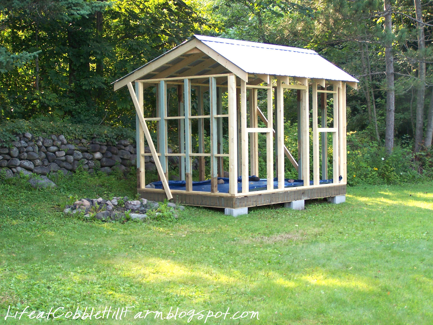 Chicken Coop 101: Thirteen Lessons Learned Life At 