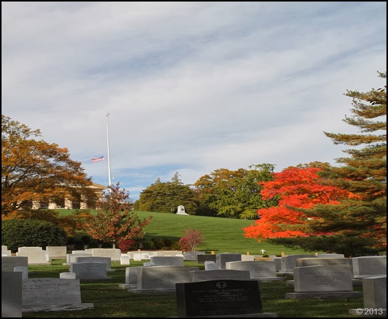 Arlington foliage 3