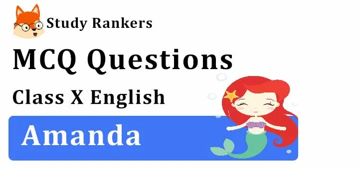 MCQ Questions for Class 10 English: Amanda First Flight