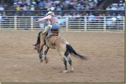Rodeo 9