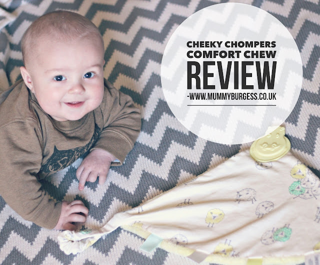 Cheeky Chompers Comfort Chew Review