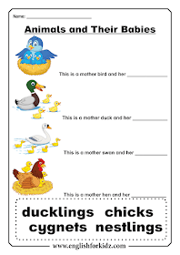 Printable animal babies worksheets for ESL students