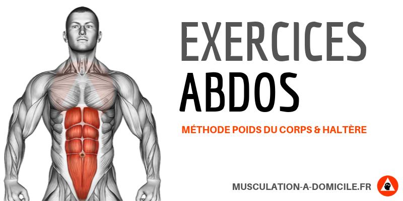 EXERCICES MUSCULATION ABDOMINAUX