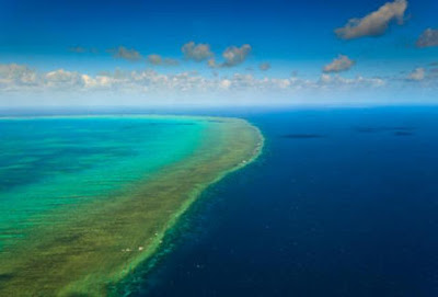 Dampak Perubahan Iklim Terhadap Great Barrier Reef Pintar Pelajaran Dampak Perubahan Iklim Terhadap Great Barrier Reef