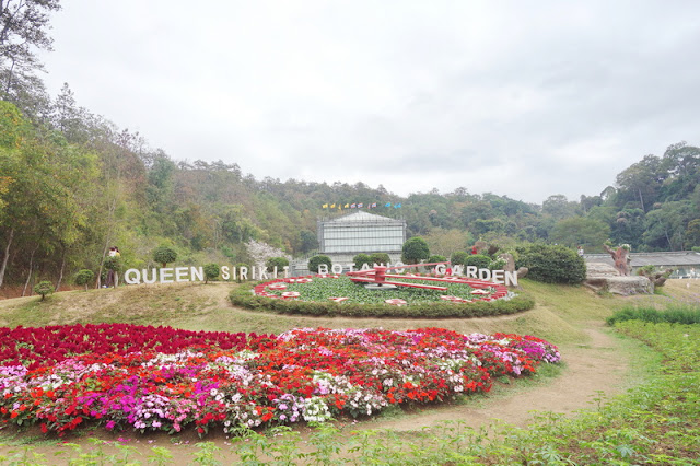 botanic garden, queen sirikit botanic garden, botanic garden chiang mai, chiang mai garden, garden in chiang mai