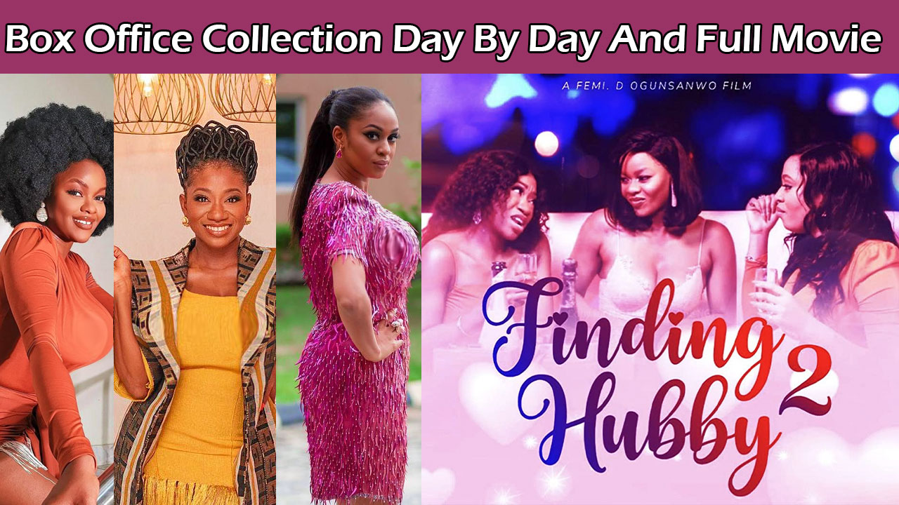 Finding Hubby-2  (2022) Box Office Collection (English With Subtitles) Hit or Flop