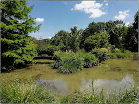 GELAUCOURT (54) - Jardin d'eau de l'Aubepré