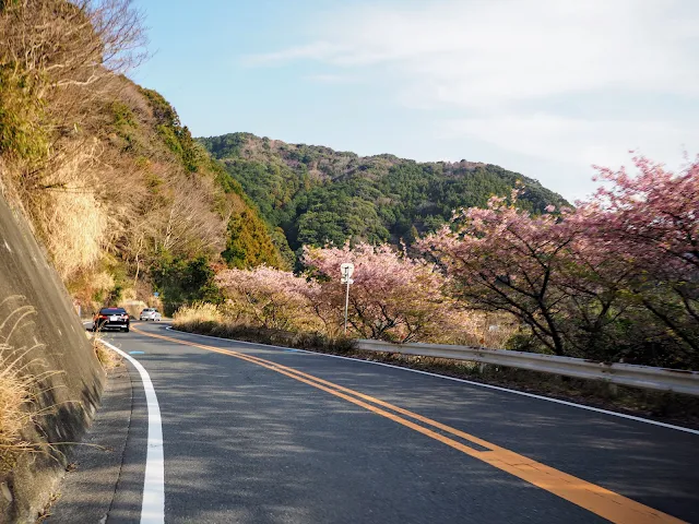 下田街道