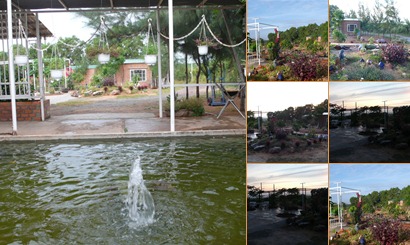 View album