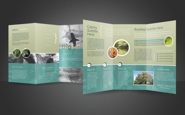 Brochure Photoshop Template2