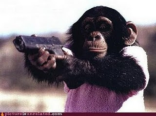 Funny animals with guns and weapons