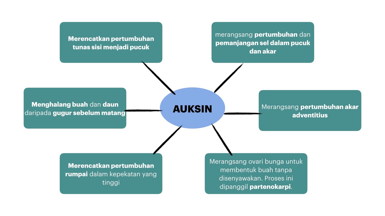 Keep Calm and Learn Science: Biologi Ting. 5: Hormon Tumbuhan