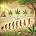 The History of CBD: From Ancient Uses to Modern Wellness