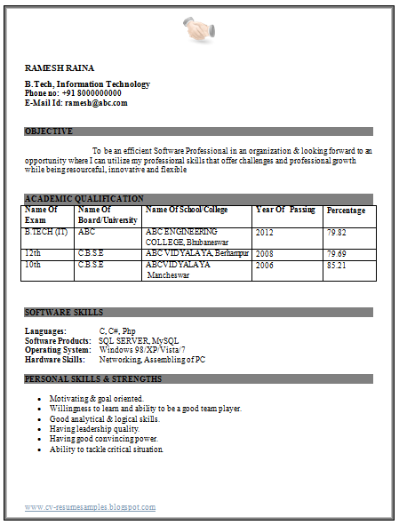 Over 10000 CV and Resume Samples with Free Download: IT ...