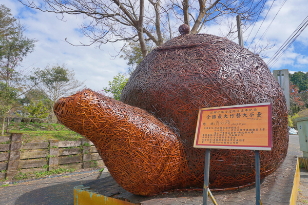 南投鹿谷小半天石馬公園河津櫻花盛開，粉紅櫻花林美不勝收