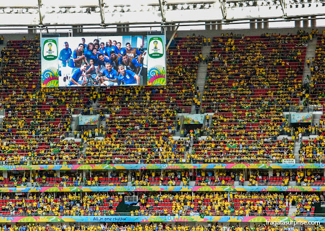 Jogo Brasil x Camarões, Copa do Mundo de 2014, Brasília