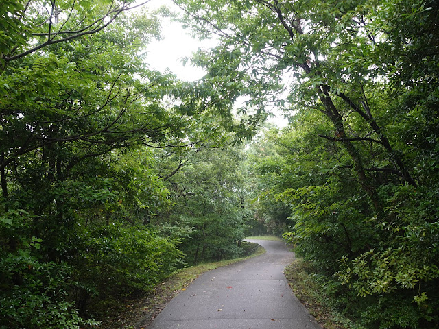 鳥取県西伯郡大山町妻木　鳥取県立むきばんだ史跡公園　首長の墓への道