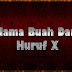 Nama Buah Dari Huruf X www buahaz com