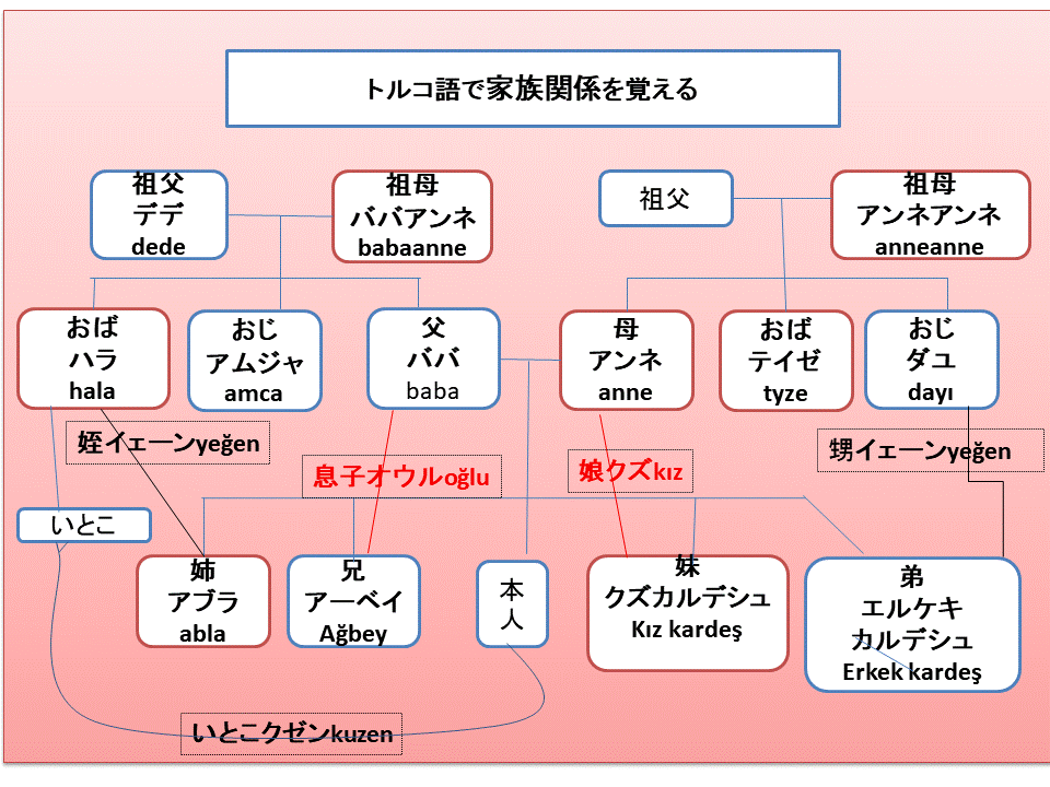 家族関係 トルコ語