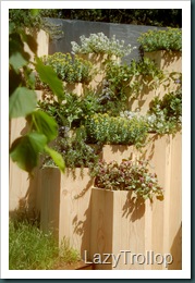 Chelsea Flower Show 2010 273