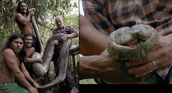  Τεράστιο ανακόντα με μήκος που ξεπερνά τα 5,18 μέτρα και ζει βαθιά στη ζούγκλα της Αμαζονίας, αποκαλύφθηκε σε ντοκιμαντέρ του BBC.Ο Gordon ...