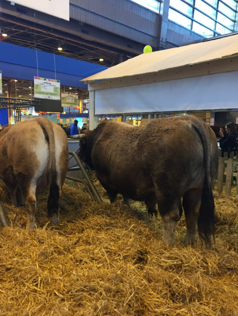 Salon International de l'Agriculture