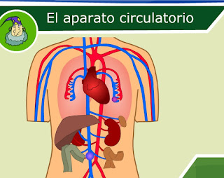 http://ares.cnice.mec.es/ciengehi/b/00/animaciones/a_fb05_03.html