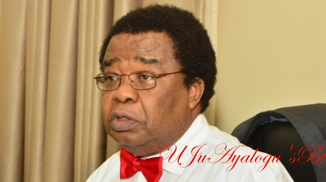 Bolaji Akinyemi: Under no circumstances should report of NIA probe be made public