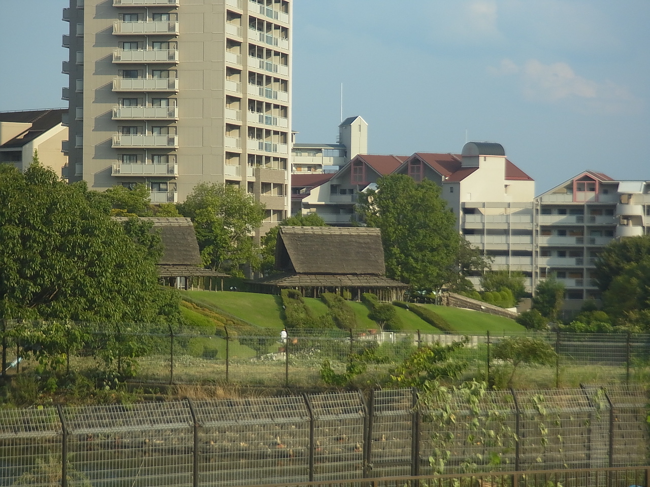 写真: 