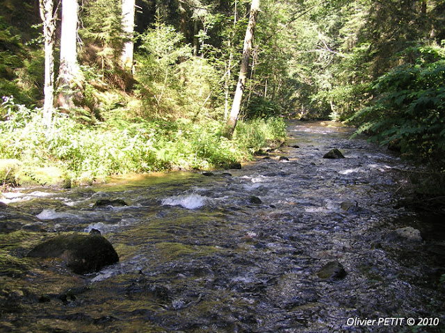 GERARDMER (88) - Le sentier écologique des Perles de la Vologne 