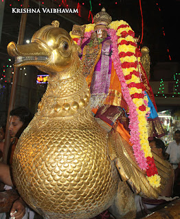 Sri Parthasarathy Perumal,Ippasi,HAmsa Vahanam, Manavala Maamunigal,Purappadu,2016, Video, Divya Prabhandam,Triplicane,Thiruvallikeni,Utsavam,