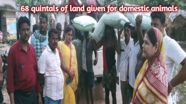 68 quintals of land given for domestic animals