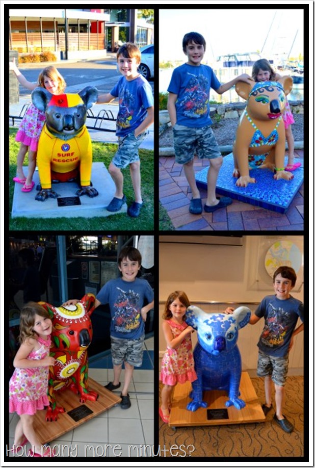 Hello Koalas! in Port Macquarie | How Many More MInutes?