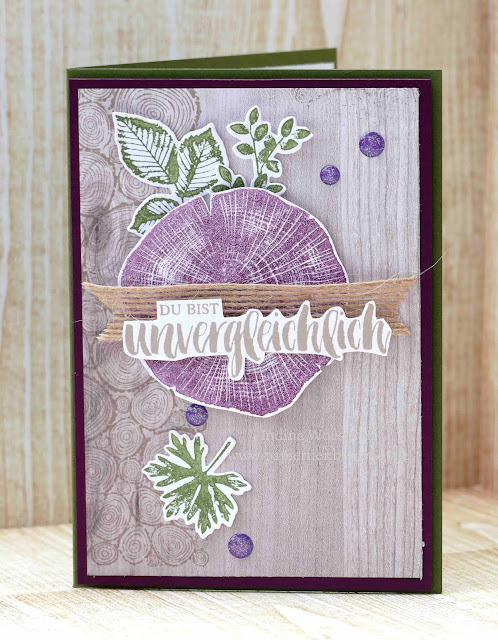 Kraft der Natur | papiertier Indina | Stampin' Up! 2018/19 | Rootetd in nature | BlogHop Team Scraphexe