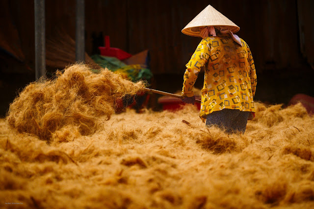 Ghé thăm làng làm chỉ sơ dừa ở Bến Tre