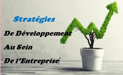 Les stratégies du développement dans l’entreprise