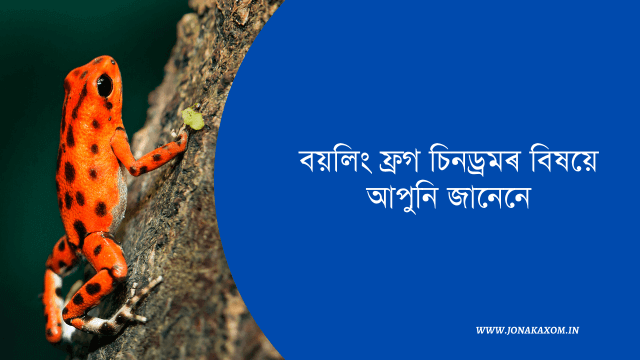 Assamese motivational article
