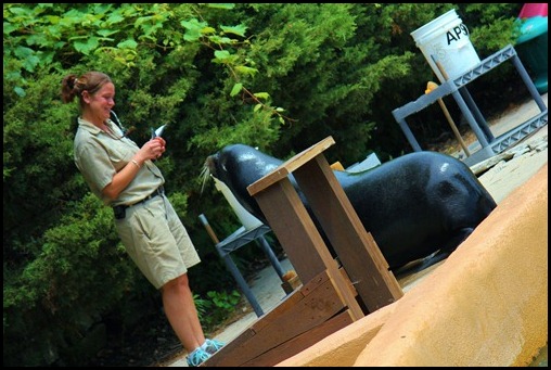 Zoo4 434