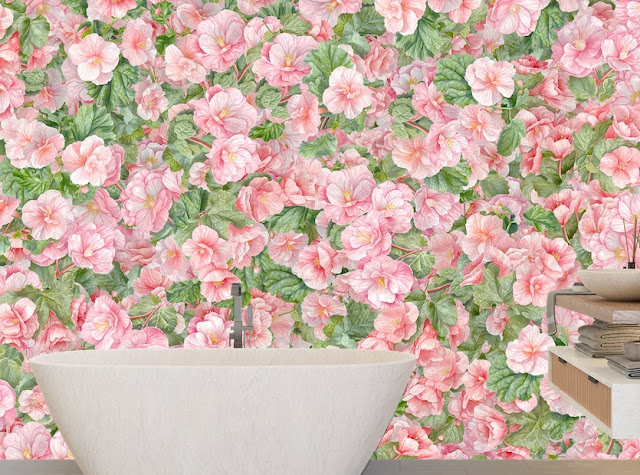 Pink Begonia Flower Wallpaper Murals