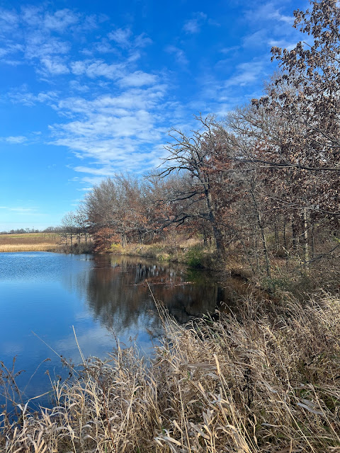 Trees reflect in a gentle pond at Pleasant Valley Conservation Area.