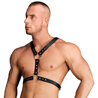 http://www.adonisent.com/store/store.php/products/thanos-chest-centerpiece-male-leather-harness
