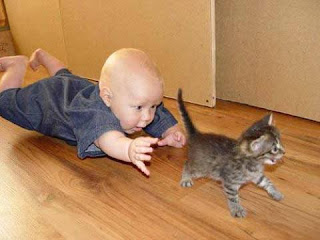 Kid with Cat Funny