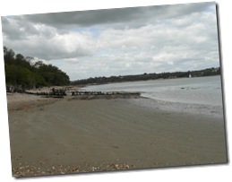 SAM_0439