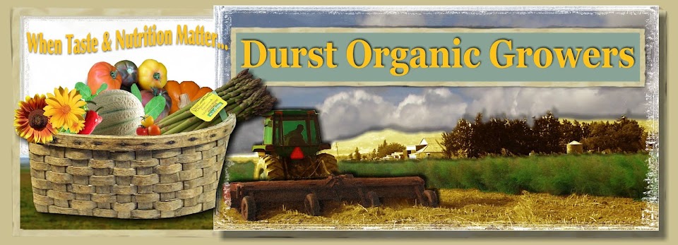 Durst Organic Growers Asparagus