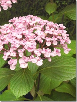 P5054371