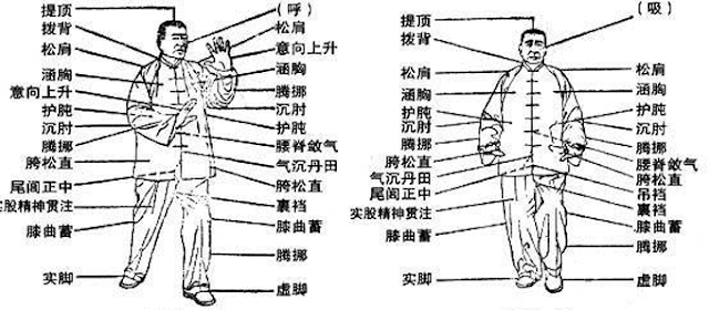 Wu Style Taijiquan line drawings