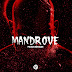 Wilson Kentura - Mandrove (Original) [AFRO HOUSE] [DOWNLOAD] 