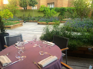 Terraza DOP
