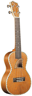 eddie finn ukulele